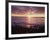 Maine, Sunrise over the Rocky Shoreline of the Atlantic Ocean-Christopher Talbot Frank-Framed Photographic Print