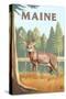 Maine - White Tailed Deer-Lantern Press-Stretched Canvas