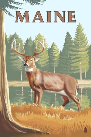 https://imgc.allpostersimages.com/img/posters/maine-white-tailed-deer_u-L-Q1I1W0T0.jpg?artPerspective=n