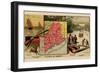 Maine-Arbuckle Brothers-Framed Art Print