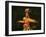 Mainland China Dance Group Perform an Arrangement Depicting Buddhist Imagery Found in the Grottoes -null-Framed Photographic Print