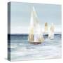 Mainsail II-Isabelle Z-Stretched Canvas