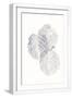 White Frame