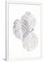 Gramercy White