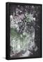 Essential Black