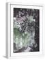 White Frame