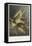 Mais, Ble De Turquie, from Fleurs Dessinees D'Apres Nature, C. 1800-Gerard Van Spaendonck-Framed Stretched Canvas