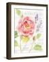 Maison Des Fleurs III-Danhui Nai-Framed Art Print