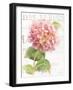 Maison des Fleurs VII-Danhui Nai-Framed Art Print