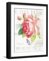 Maison des Fleurs VIII-Danhui Nai-Framed Art Print