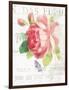 Maison des Fleurs VIII-Danhui Nai-Framed Art Print