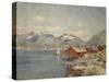 Maisons de pêcheurs à Svolvoer, Lofoden (Norvège)-Johannes Martin Grimelund-Stretched Canvas