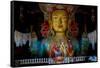 Maitreya Buddha at Thiksey Monastery, Leh, Ledakh, India-Ellen Clark-Framed Stretched Canvas