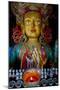 Maitreya Buddha at Thiksey Monastery, Leh, Ledakh, India-Ellen Clark-Mounted Photographic Print