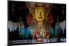 Maitreya Buddha at Thiksey Monastery, Leh, Ledakh, India-Ellen Clark-Mounted Photographic Print