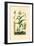 Maize, 1833-39-null-Framed Premium Giclee Print
