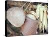 Maize and Indian Baskets, Brazil, South America-Robin Hanbury-tenison-Stretched Canvas