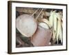 Maize and Indian Baskets, Brazil, South America-Robin Hanbury-tenison-Framed Photographic Print