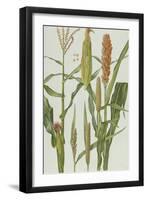 Maize and Other Crops-Elizabeth Rice-Framed Giclee Print