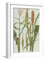 Maize and Other Crops-Elizabeth Rice-Framed Giclee Print