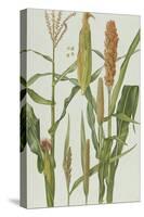 Maize and Other Crops-Elizabeth Rice-Stretched Canvas