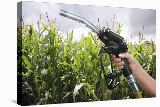 Maize Biofuel, Conceptual Image-Victor De Schwanberg-Stretched Canvas