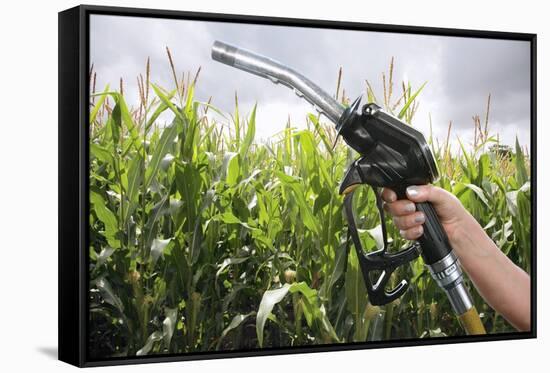 Maize Biofuel, Conceptual Image-Victor De Schwanberg-Framed Stretched Canvas