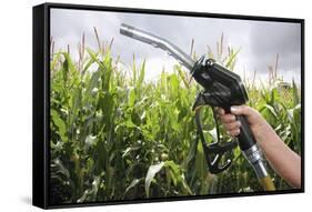 Maize Biofuel, Conceptual Image-Victor De Schwanberg-Framed Stretched Canvas