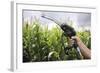 Maize Biofuel, Conceptual Image-Victor De Schwanberg-Framed Premium Photographic Print