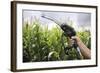 Maize Biofuel, Conceptual Image-Victor De Schwanberg-Framed Premium Photographic Print