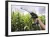 Maize Biofuel, Conceptual Image-Victor De Schwanberg-Framed Premium Photographic Print