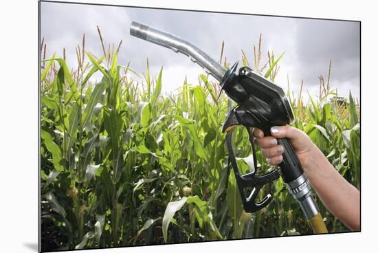 Maize Biofuel, Conceptual Image-Victor De Schwanberg-Mounted Photographic Print