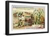 Maize, C1900-null-Framed Giclee Print