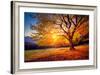 Majestic Alone Beech Tree on a Hill Slope with Sunny Beams at Mountain Valley. Dramatic Colorful Mo-Leonid Tit-Framed Photographic Print