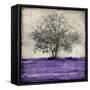 Majestic - Amethyst-Eric Turner-Framed Stretched Canvas