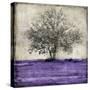 Majestic - Amethyst-Eric Turner-Stretched Canvas