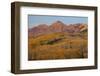 Majestic Autumn-Bill Sherrell-Framed Photographic Print