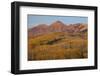 Majestic Autumn-Bill Sherrell-Framed Photographic Print