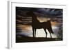 Majestic Beauty-Jenny Newland-Framed Giclee Print