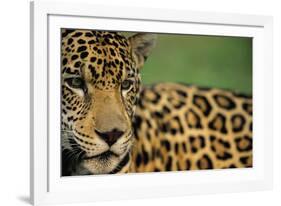 Majestic Calm-Staffan Widstrand-Framed Giclee Print