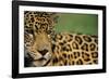 Majestic Calm-Staffan Widstrand-Framed Giclee Print