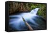 Majestic Creek Water Flow, Mount Hood Wilderness-Vincent James-Framed Stretched Canvas