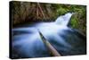 Majestic Creek Water Flow, Mount Hood Wilderness-Vincent James-Stretched Canvas