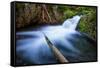 Majestic Creek Water Flow, Mount Hood Wilderness-Vincent James-Framed Stretched Canvas