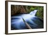 Majestic Creek Water Flow, Mount Hood Wilderness-Vincent James-Framed Photographic Print