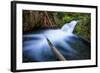 Majestic Creek Water Flow, Mount Hood Wilderness-Vincent James-Framed Photographic Print