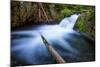 Majestic Creek Water Flow, Mount Hood Wilderness-Vincent James-Mounted Photographic Print