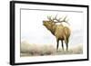 Majestic Elk Brown-James Wiens-Framed Art Print