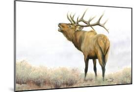 Majestic Elk Brown-James Wiens-Mounted Art Print