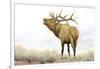 Majestic Elk Brown-James Wiens-Framed Art Print